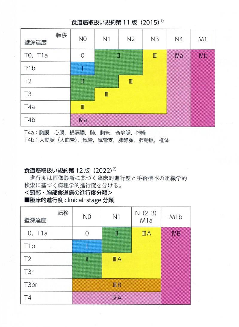 病期分類