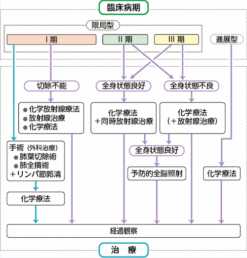 表 小細胞がん