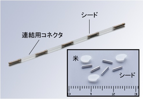 前立腺癌に対する組織内照射