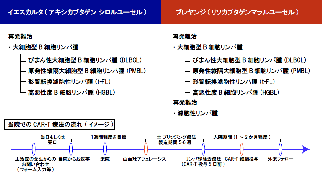 CAR-T療法の治療プロセス図(リンパ球採取から輸注まで) CAR-T療法の治療プロセス図(リンパ球採取から輸注まで)